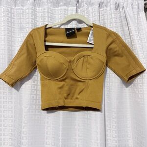 Adidas IVY PARK Golden Brown Crop Top